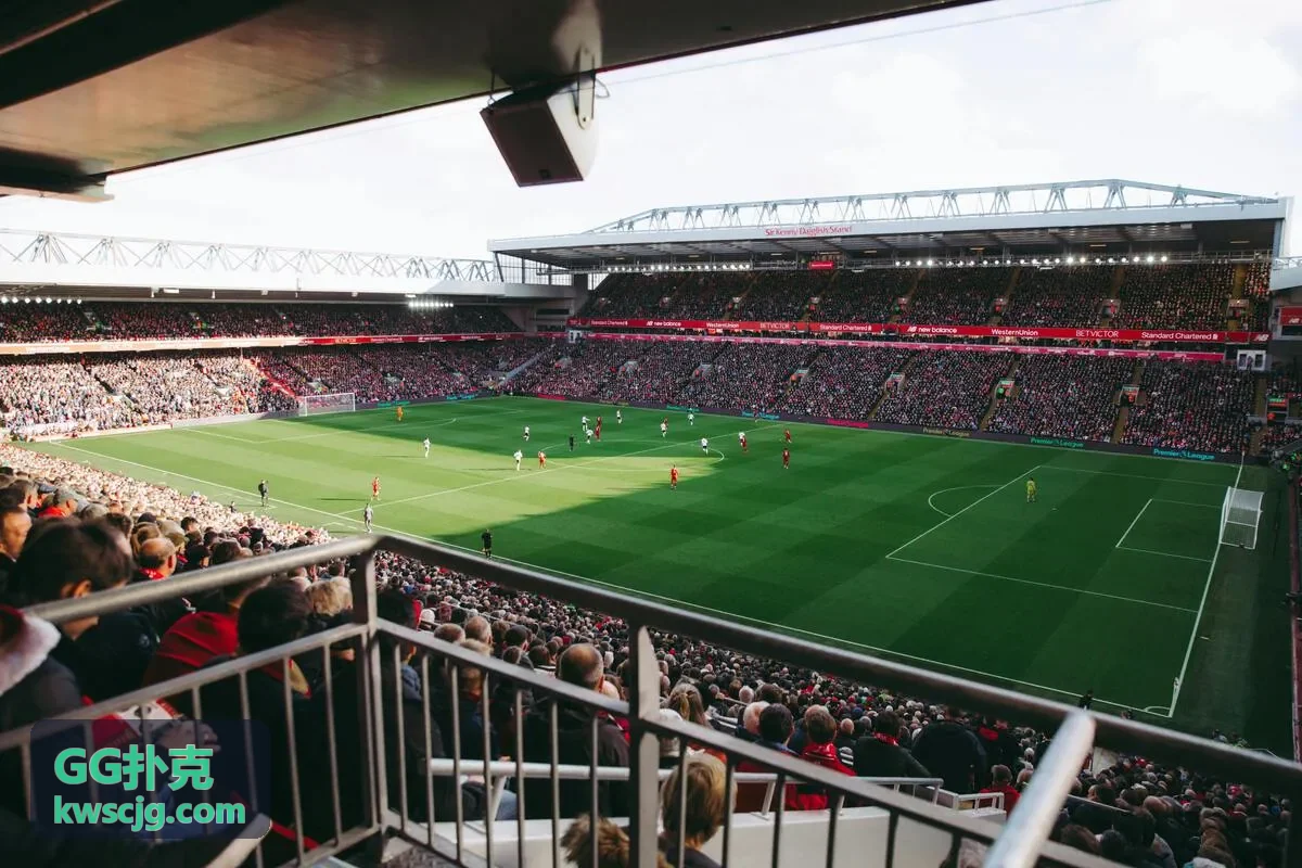 GG扑克数据图标