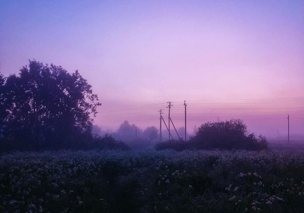 DB视讯官网🎮零封！狼队阵容换血效果明显强势出手零封RW！狼队 3-0 RW